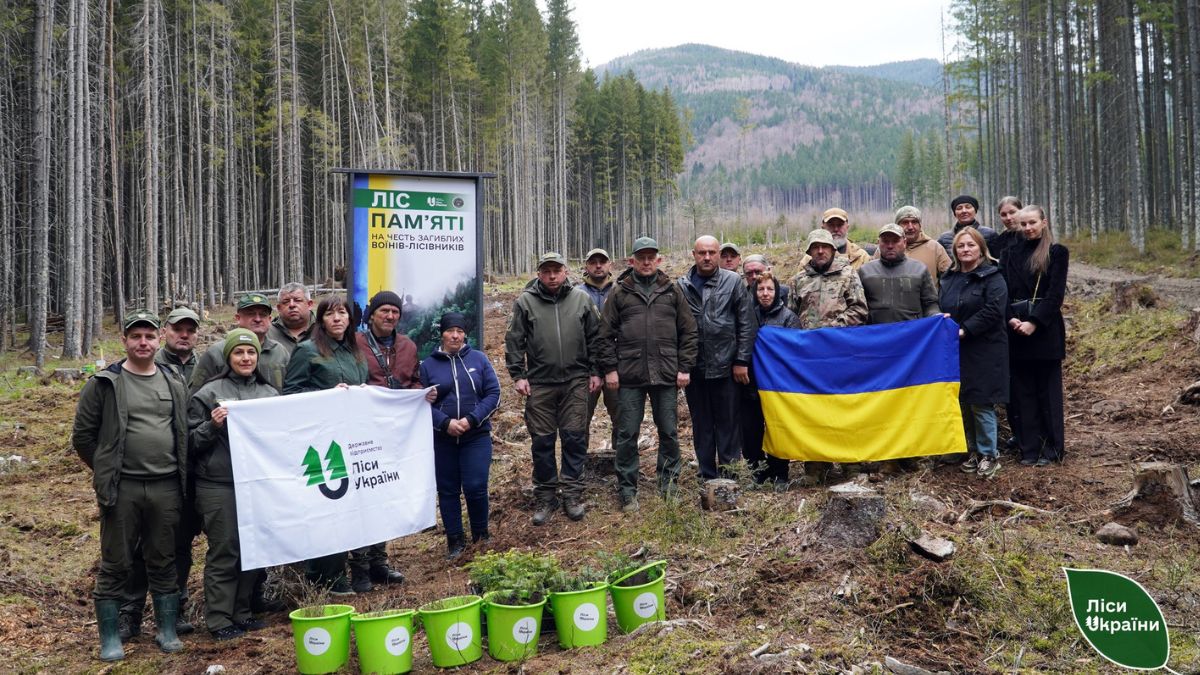 В Осмолодському надлісництві висадили гектар лісу в пам’ять полеглих Героїв