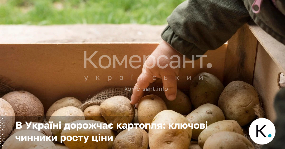 В Україні дорожчає картопля: ключові чинники росту ціни