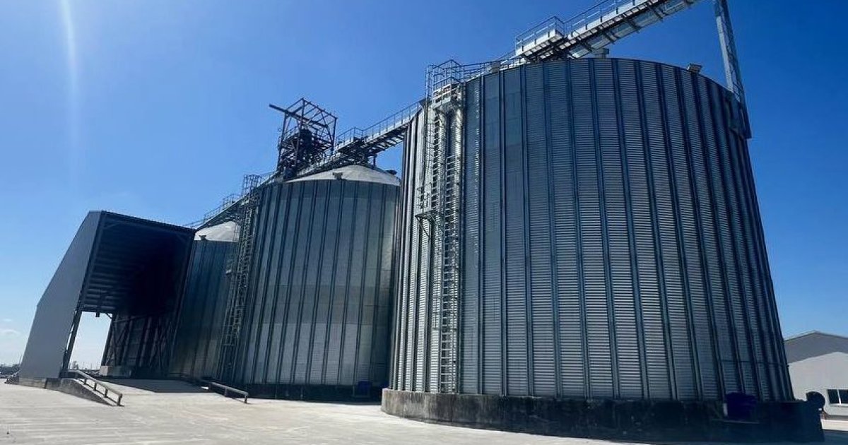 В Україні запустили новий комбікормовий завод: як виробництво змінить економіку …