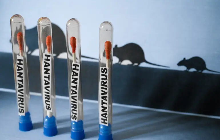 В Україні зафіксували перші випадки хантавірусу: що відомо