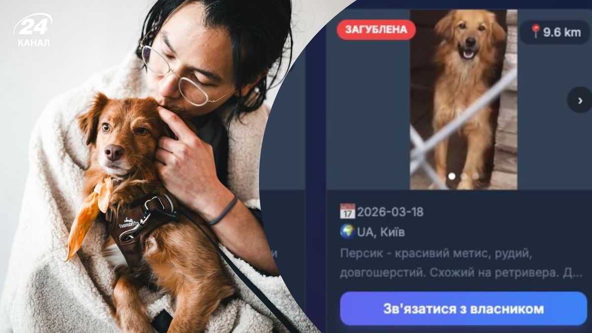 В Україні створили унікальний додаток, який знаходить загублених тварин за …