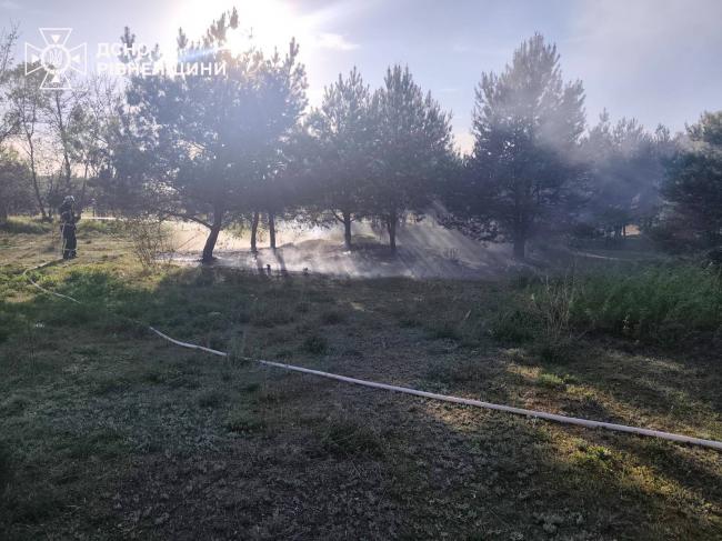 В екосистемах Рівненщини згоріло понад 6 га землі (ВІДЕО)