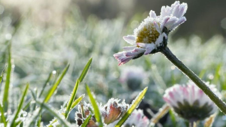 В області Прикарпаття встановлено «помаранчевий» рівень загрози через потужні заморозки