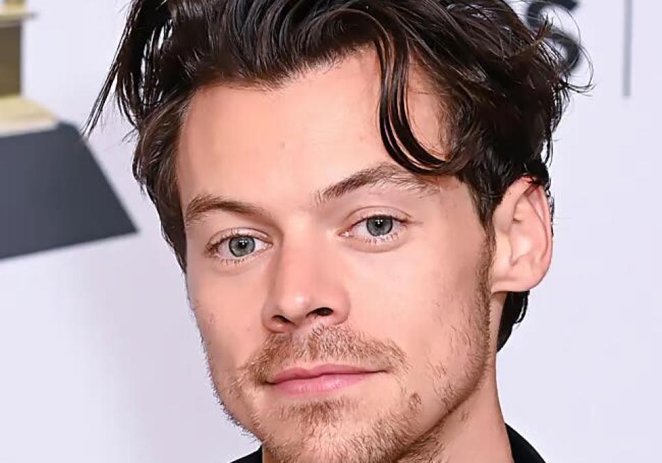 Гаррі Стайлз офіційно заручився з відомою голлівудською акторкою Зої Кравіц