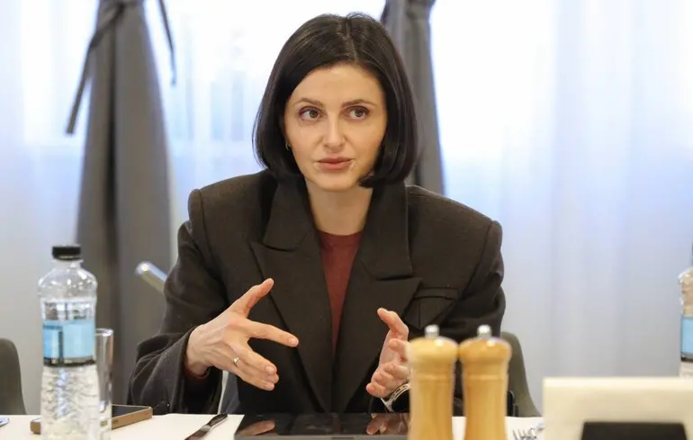 Генпрокурор відкрив справу проти депутатки Василевської-Смаглюк
