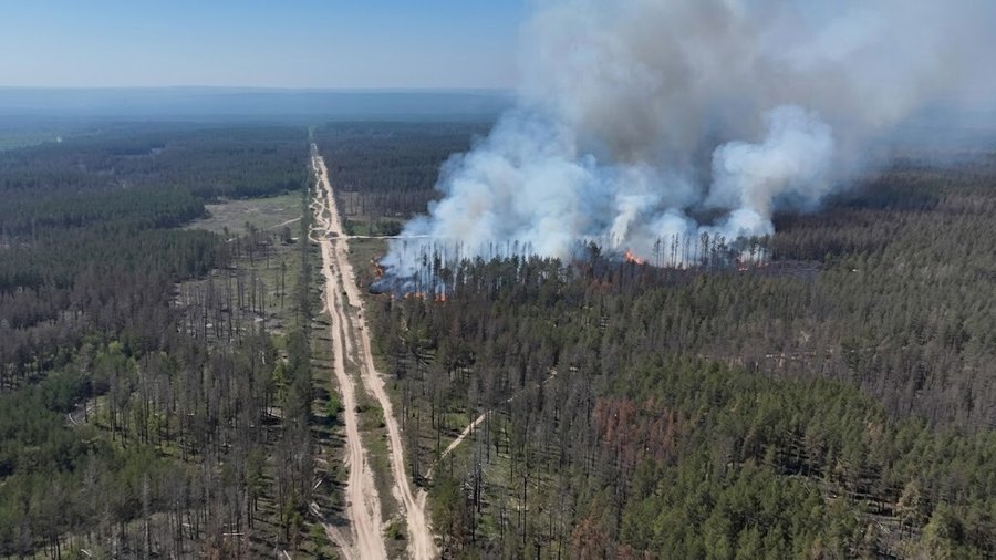 Горить ліс на території Артемівського лісництва