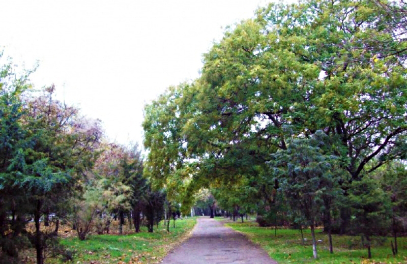 Громаді повернули рекреаційні землі поблизу Савицького парку