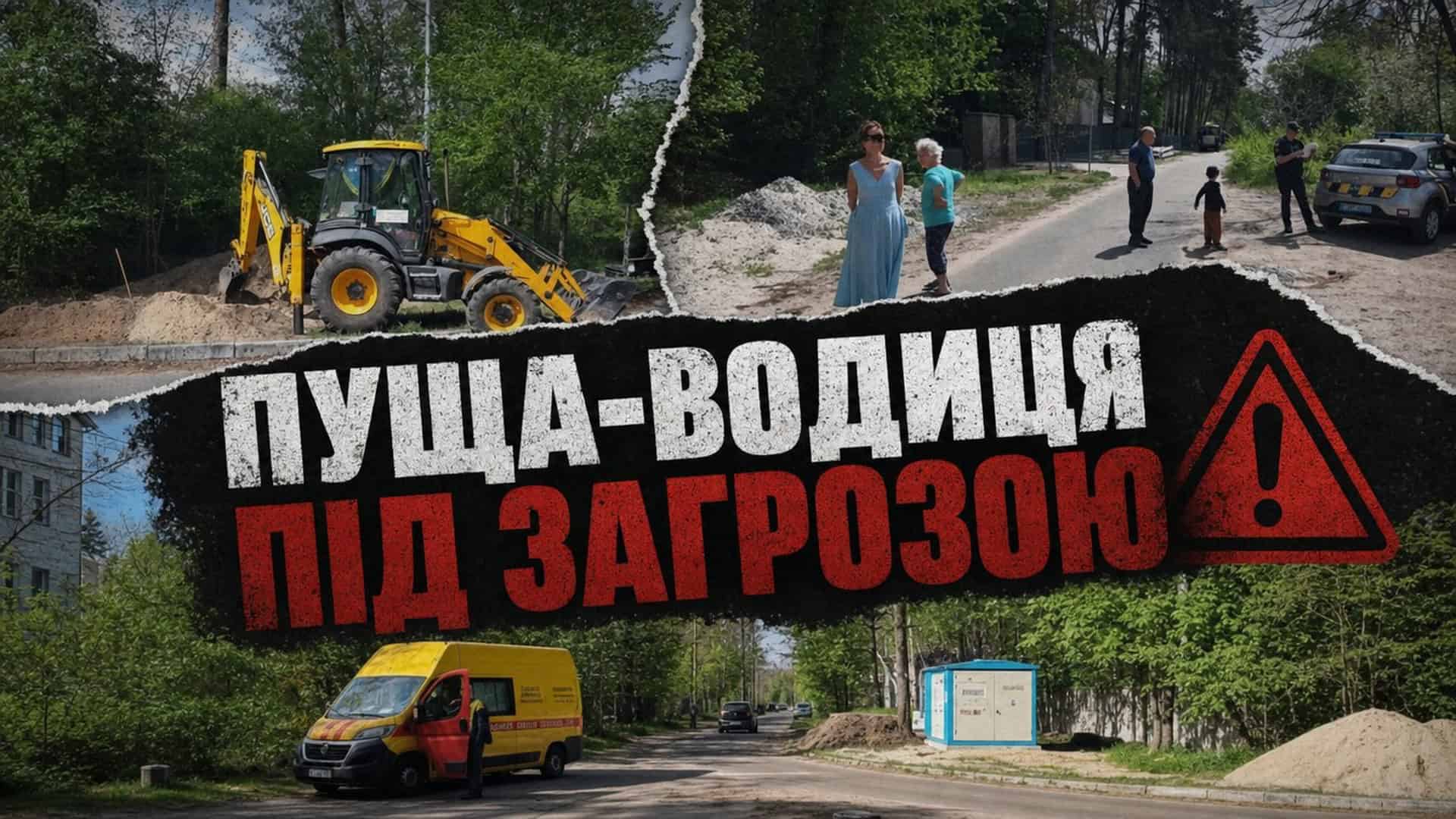 ДТЕК вирубував ліс у Пущі-Водиці без дозволу