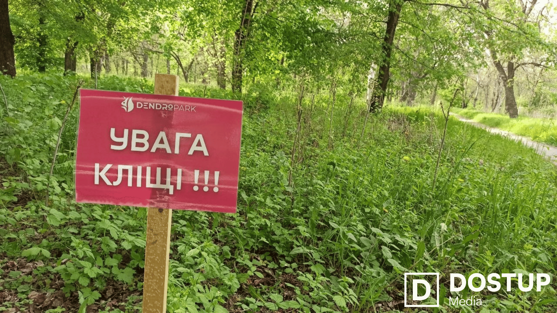 Двісті тисяч гривень заплатять за обробку Дендропарку від кліщів у Кропивницькому