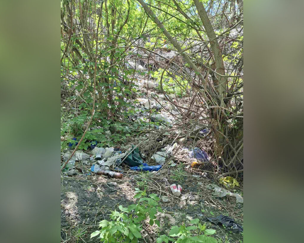 Держекоінспекція у Кропивницькому виявила несанкціоноване сміттєзвалище