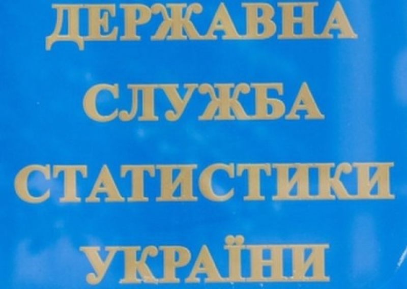 Держстат запускає масштабне обстеження доходів і умов життя українців