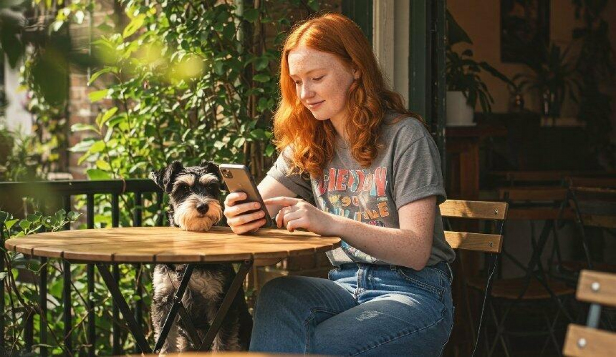 Де у Києві радіють улюбленцям: з’явилася інтерактивна карта pet-friendly місць