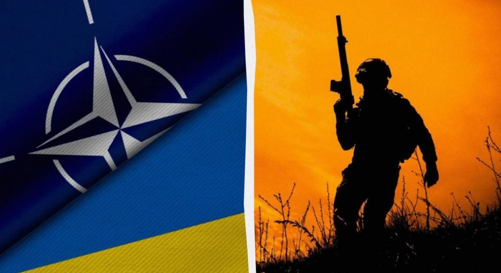Досвід війни в Україні повністю змінив майбутнє НАТО, - Fox …
