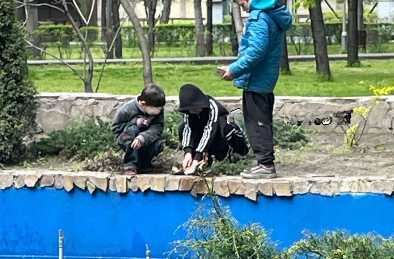 Діти врятували білку в Кам’янському