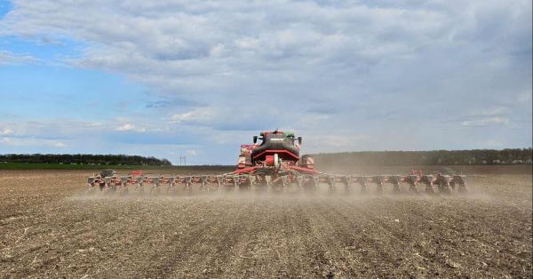 ЕНСЕЛКО завершив посівну, понад 70% площ — під кукурудзою