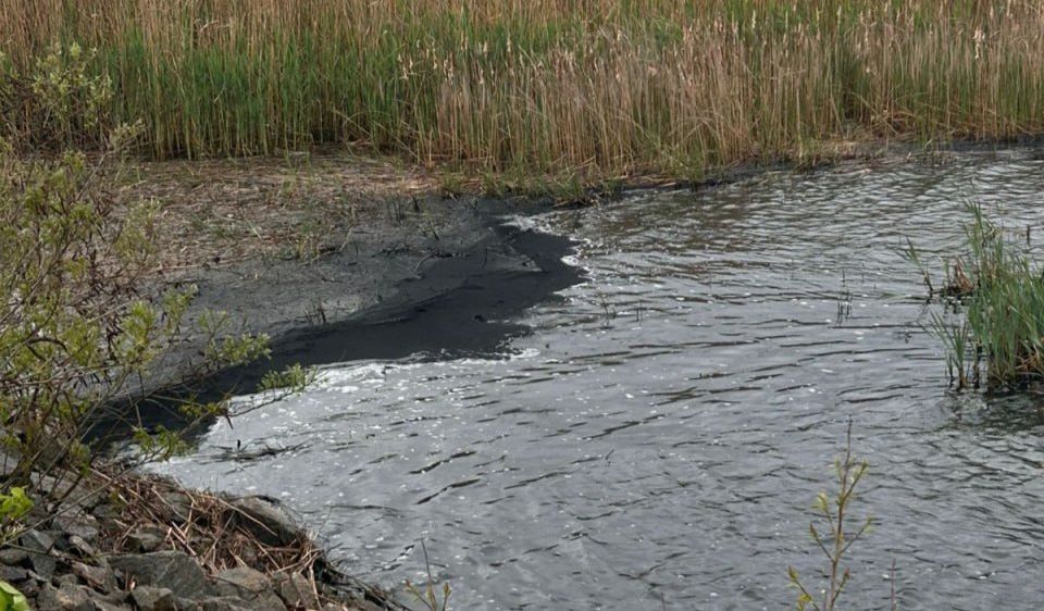 Чорні плями на воді: що виявили екологи у річці на …