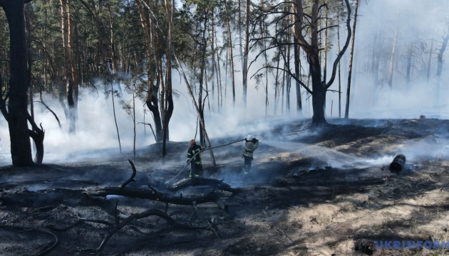 Екологи оцінили збитки від лісових пожеж навколо Сіверськодонецька у ₴25 …