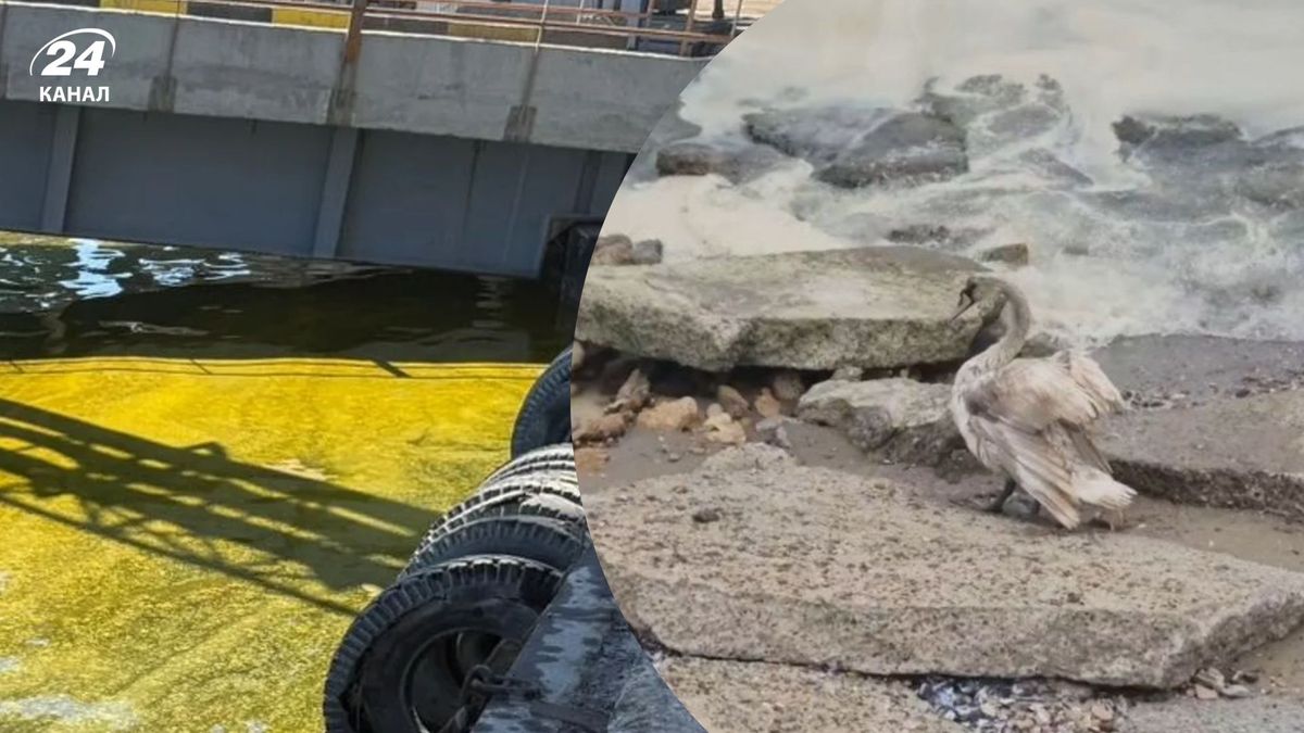Екологічна загроза на Одещині: море забруднене після руйнування резервуара