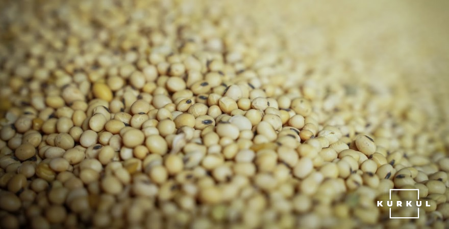 Експортні ціни на сою підвищились на тлі глобального попиту