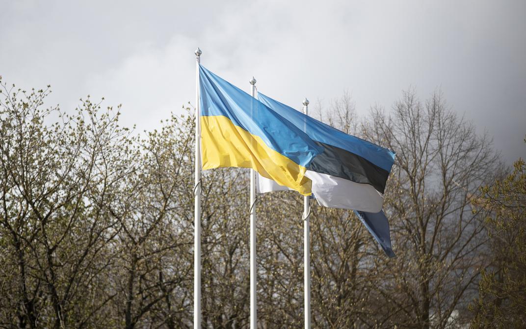 Естонія закликала Україну не допускати падіння уламків дронів на території …