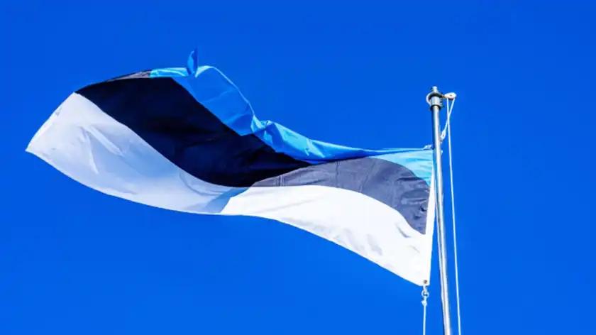 Естонія звинуватила Росію у спрямуванні українських дронів у повітряний простір …