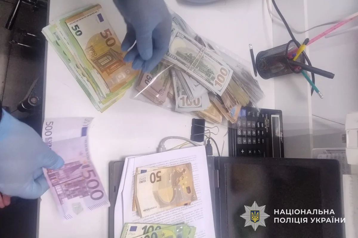 Жителька Великих Гаїв віддала шахраям понад 10 млн грн