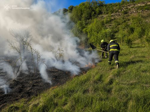 Житель Монастириська отримав опіки, намагаючись самостійно загасити пожежу (фото)