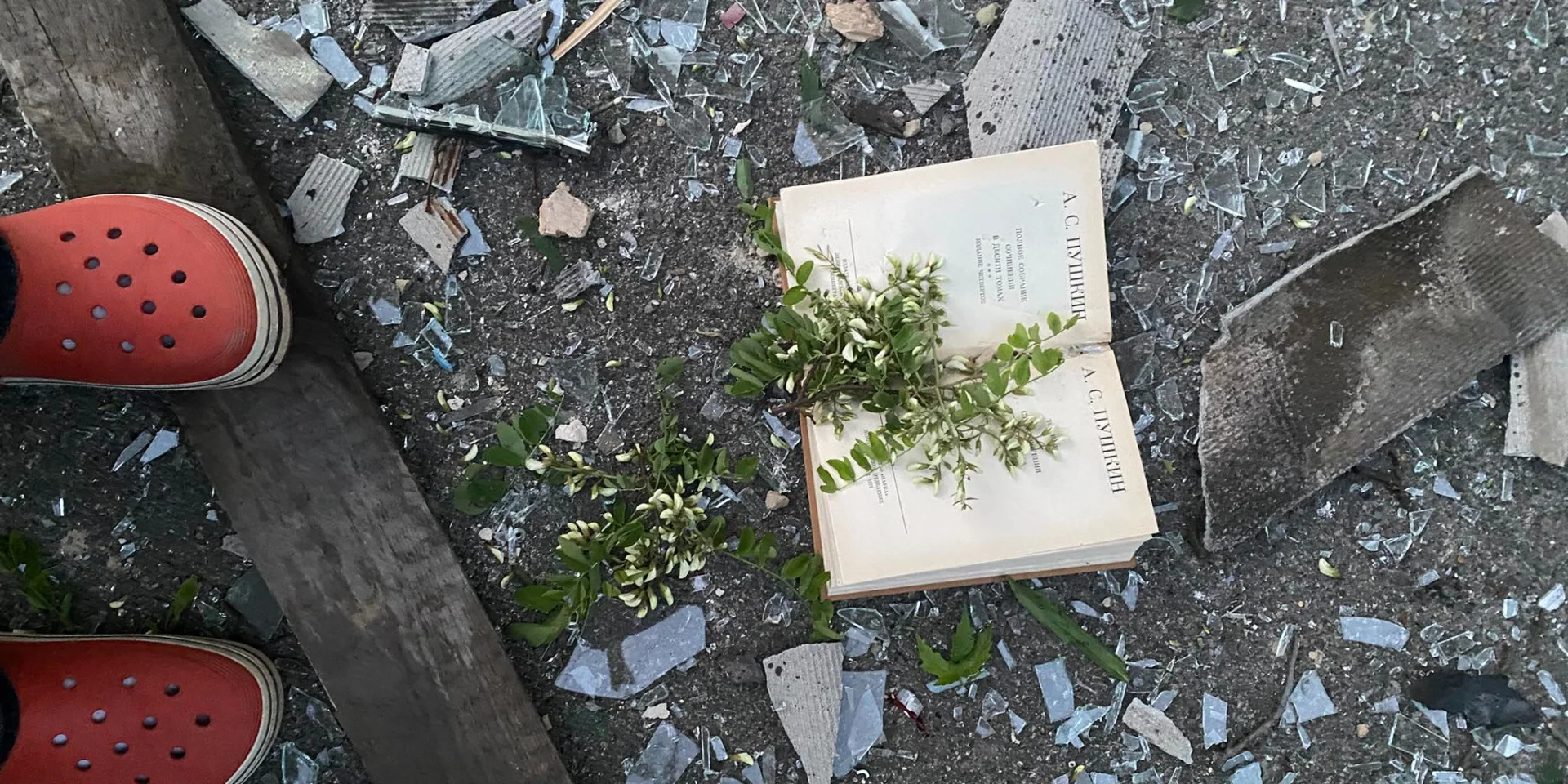 Житла письменниць Ірини Цілик та Олени Захарченко постраждали через обстріл …