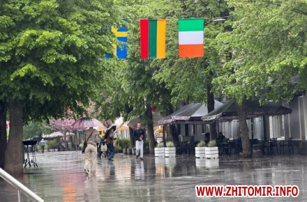 Житомирську Михайлівську знову прикрасили прапорами до Дня Європи