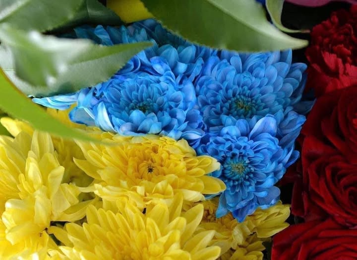 Житомиряни провели в останню путь військового Іллю Гаричева