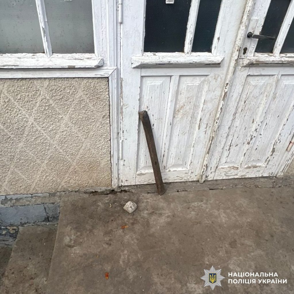 Жорстоке побиття собаки до смерті: на Буковині судитимуть чоловіка