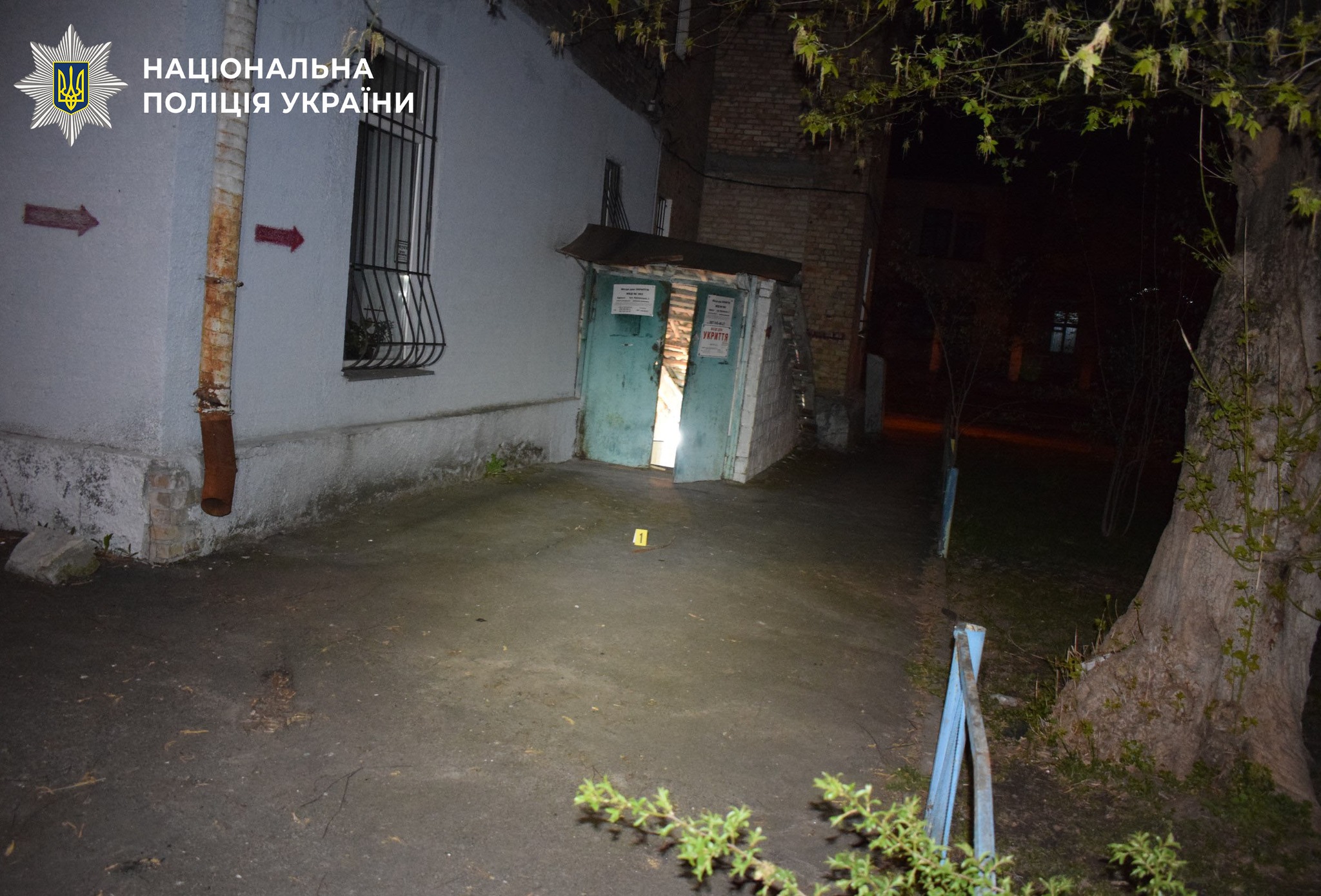 Жорстоке побиття у підвалі: 18-річний хлопець гамселив знайому арматурою заради …
