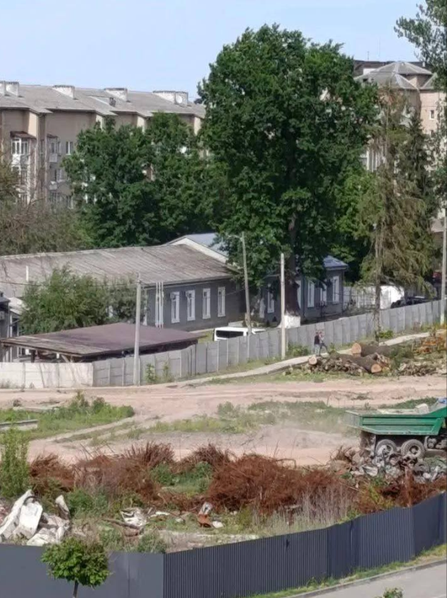 Забудовника зобов’язали висадили алею дубів на Нацгвардії, – Марцінків