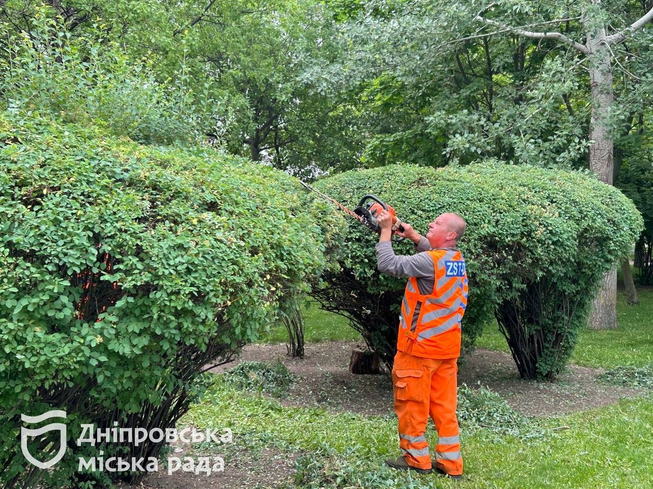 Завдяки системній роботі у Дніпрі зелені зони залишаються охайними та …