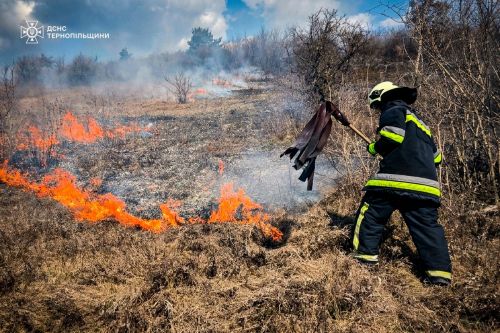 Загоряння трави та знешкодження вибухонебезпечних предметів: як працювали піротехніки Тернопільщини …