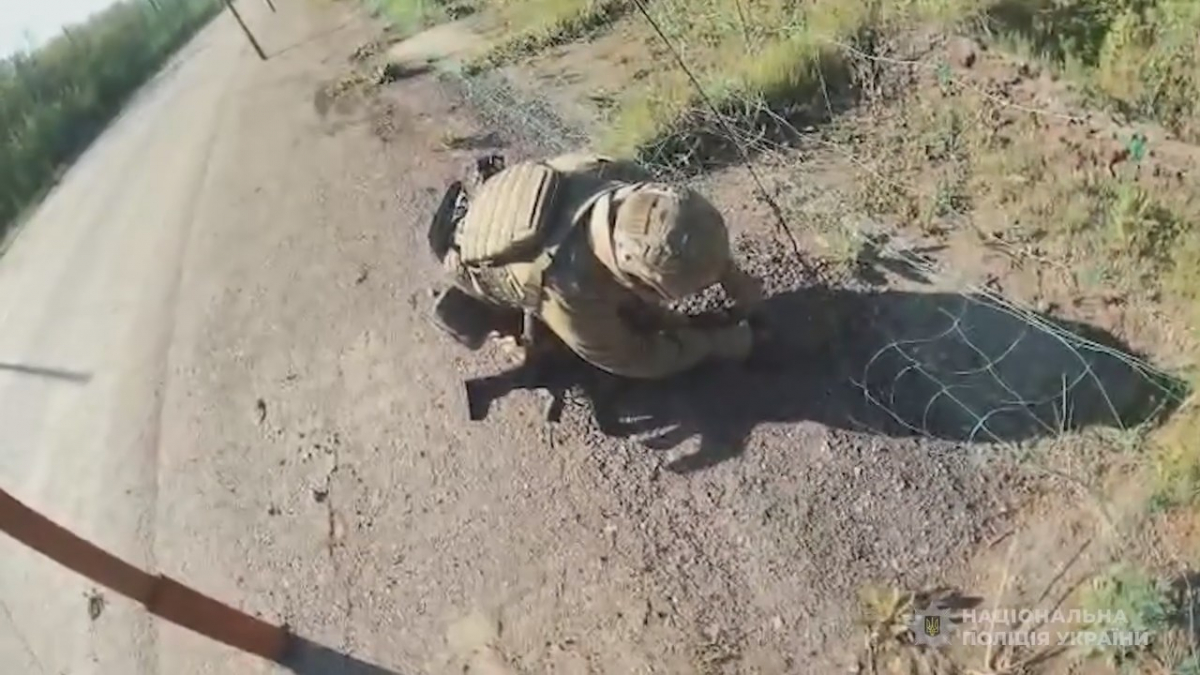 Заплутався у захисній сітці: на Запоріжжі поліцейські врятували їжака