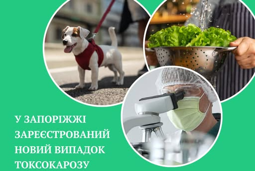 У Запоріжжі виявили п’ять випадків паразитарної хвороби, що може уражати …