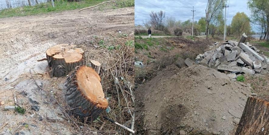Засипали бетоном і нищили дерева: у Києві зафіксували екологічний злочин