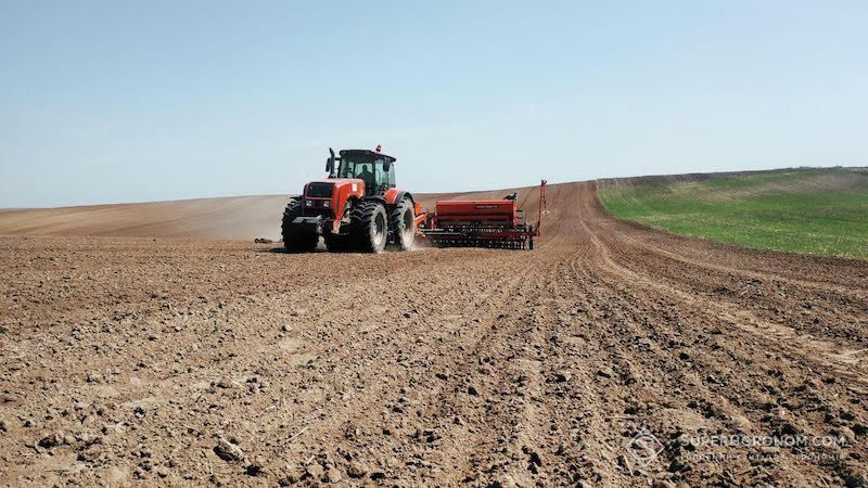 Зміщення термінів посівної ярих може знизити врожайність культур