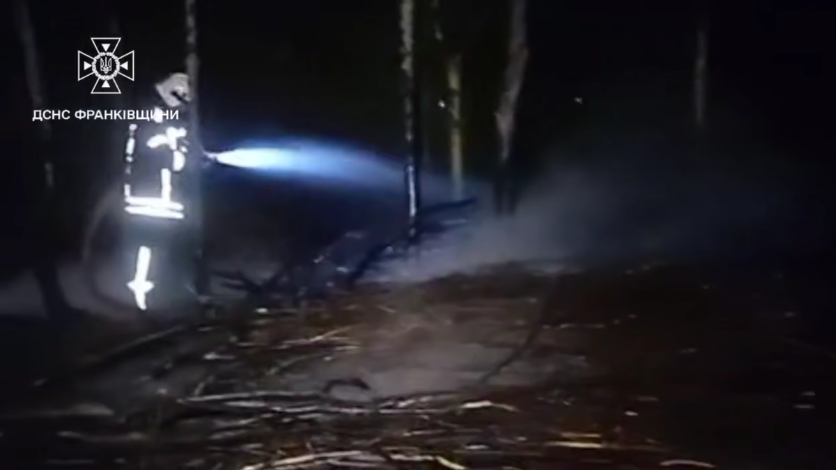 За день на Прикарпатті рятувальники ліквідували 12 загорянь