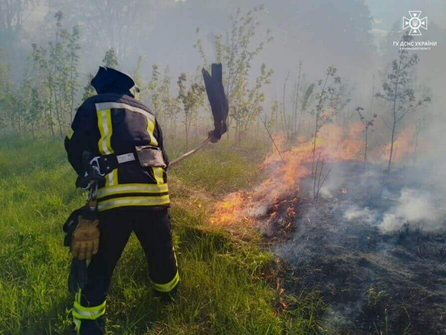За добу на Волині вигоріли 5 га у 6 пожежах