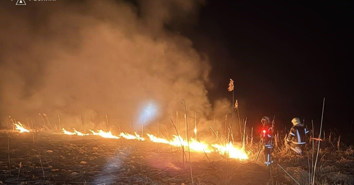 За добу на Волині вигоріло понад 7 гектарів землі
