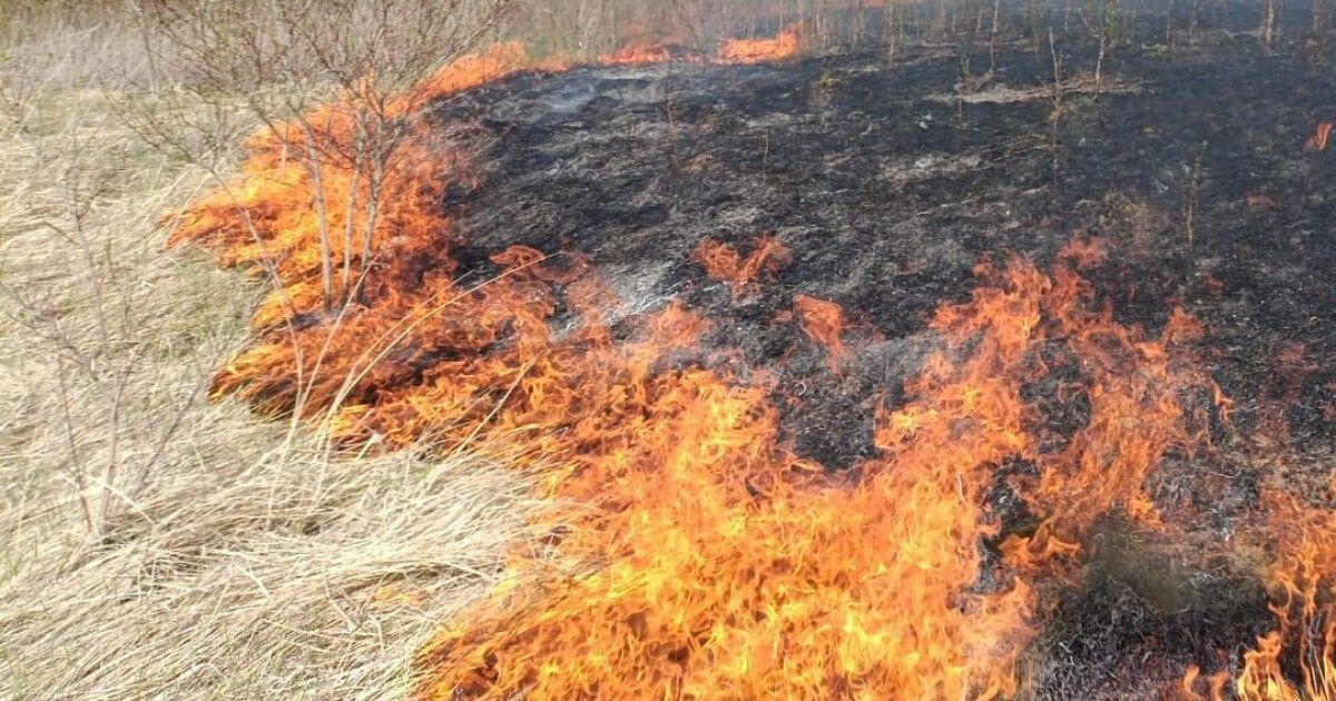 За добу на Волині вигоріло 2 гектари сухої рослинності (Відео)