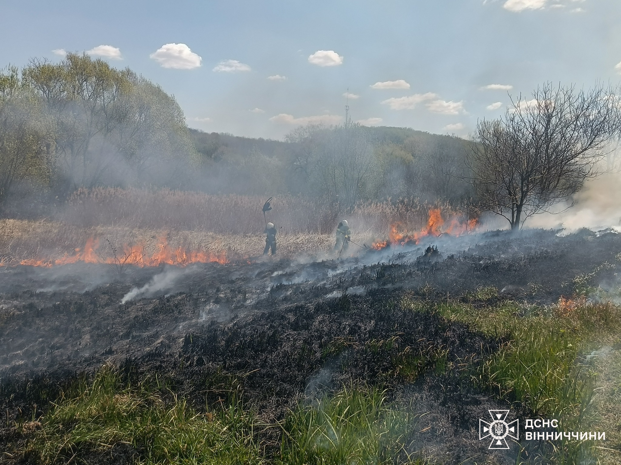 За добу на Вінниччині зафіксували 18 пожеж: горіли поля, торгівельна …