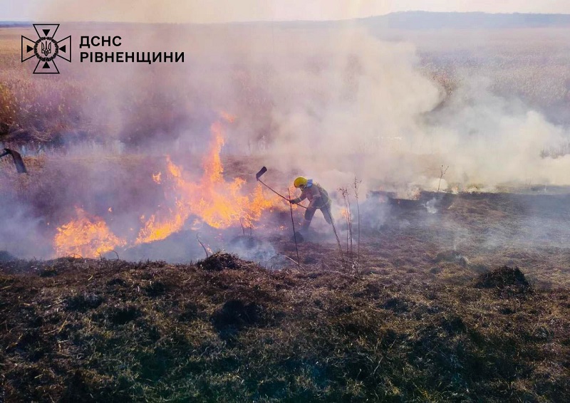 За добу на Рівненщині сталося 8 пожеж в екосистемах