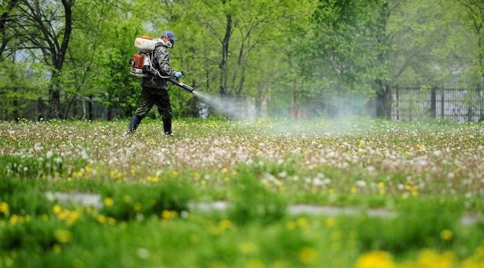 За мільйон гривень у Полтаві оброблятимуть зелені зони від кліщів