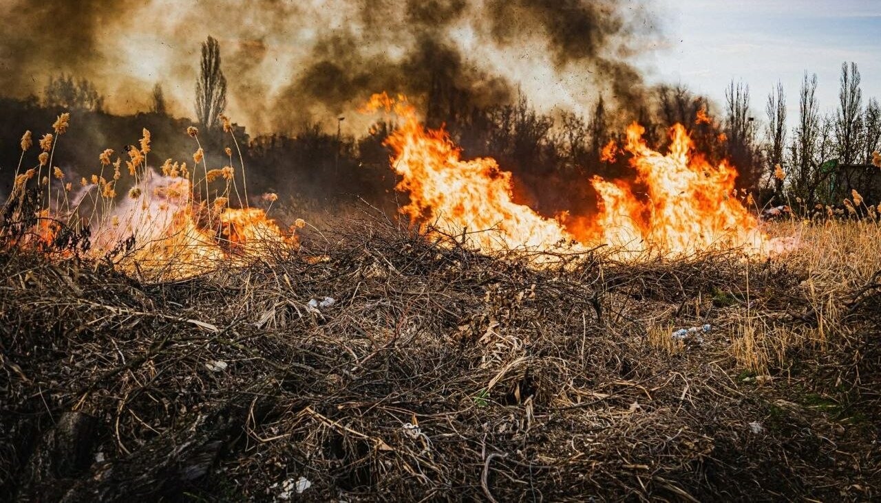 За тиждень на Харківщині виникла 91 пожежа в екосистемах