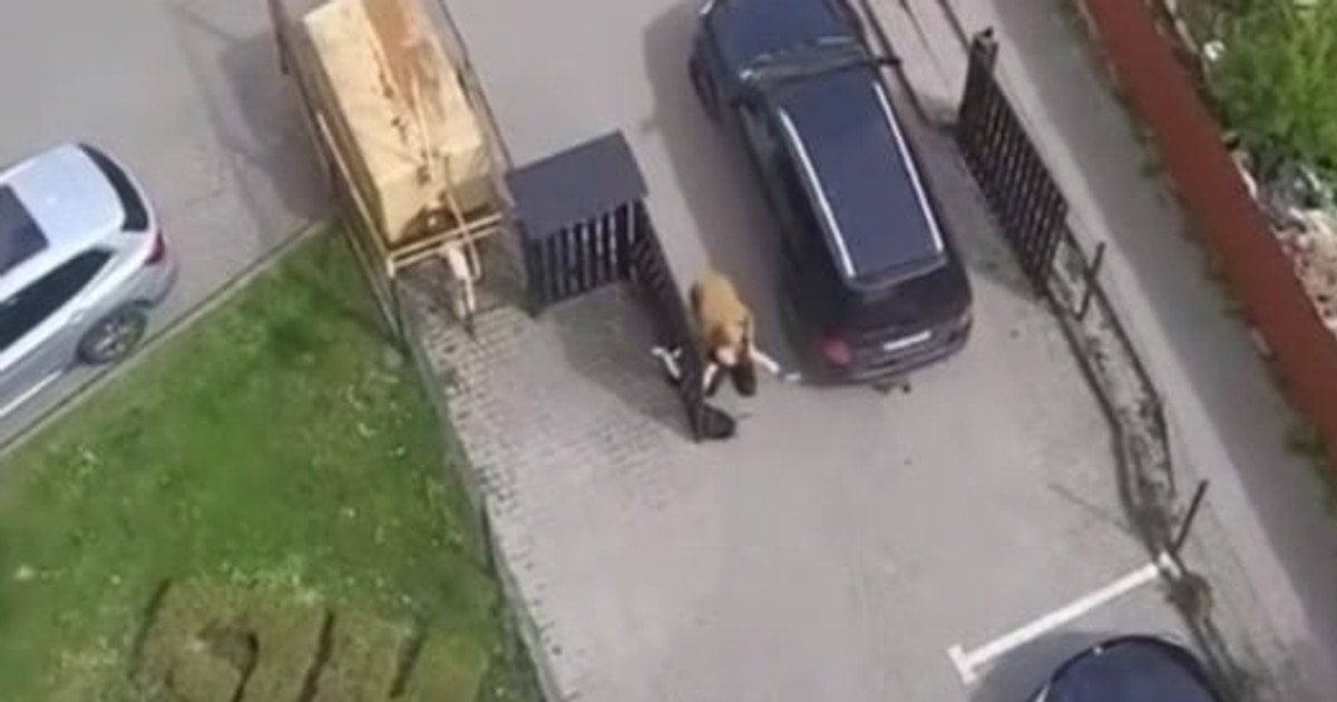 Збив вагітну й втік: суд ухвалив рішення щодо водія буса …