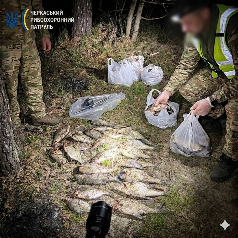 Збитки майже 30 тисяч гривень: на Дніпрі незаконно наловили ляща
