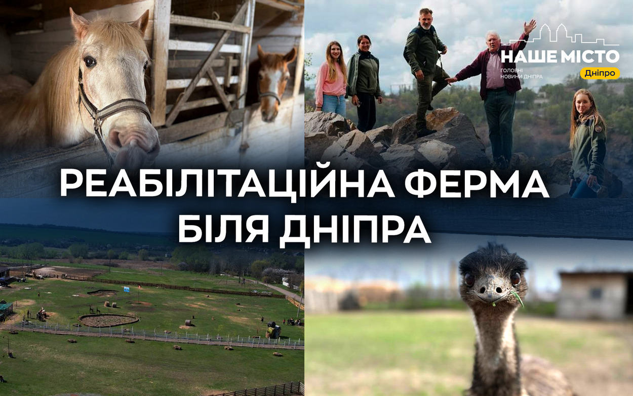 «Зелений гай» під Дніпром: 500 врятованих тварин і допомога ветеранам …